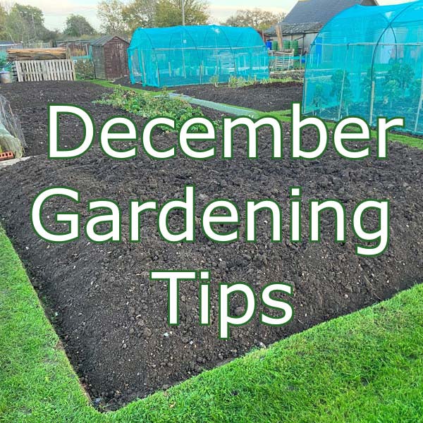 December-Gardening-Tips.jpg