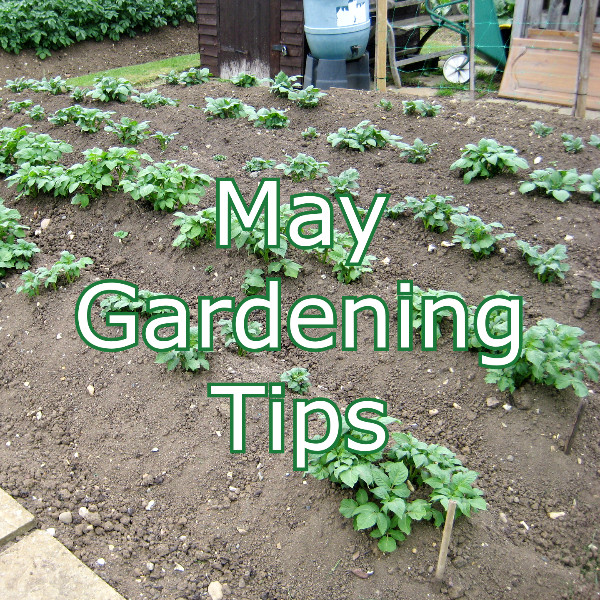 May-Gardening-Tips.jpg