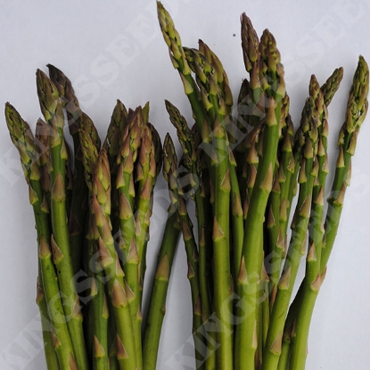 Picture of Asparagus Ariane F1