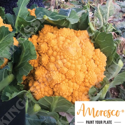 Picture of Cauliflower Romanesco (Amoresco®) Amo 125 F1