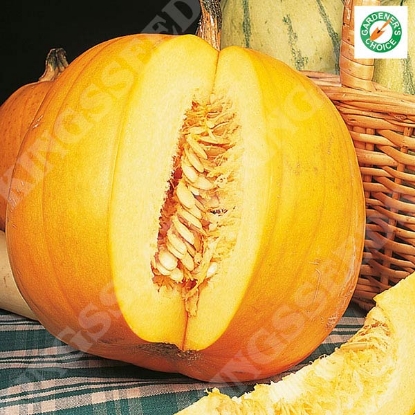 Picture of Pumpkin Jack O’Lantern