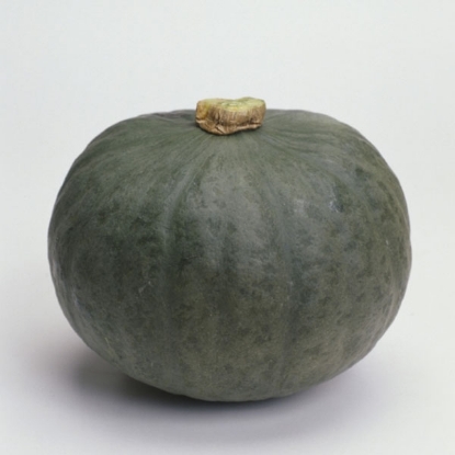 Picture of Winter Squash Blue Kuri