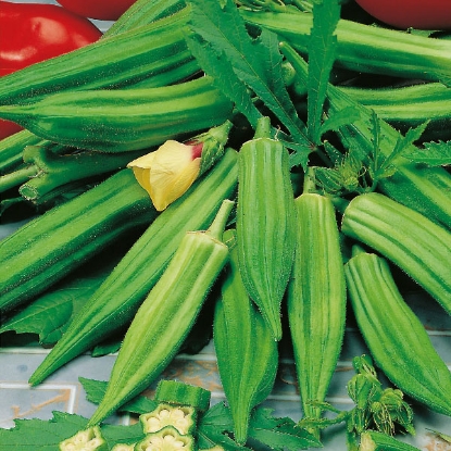 Picture of Okra Clemsons Spineless