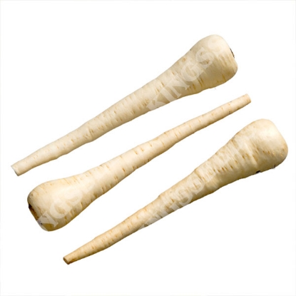 Picture of Parsnip White Spear