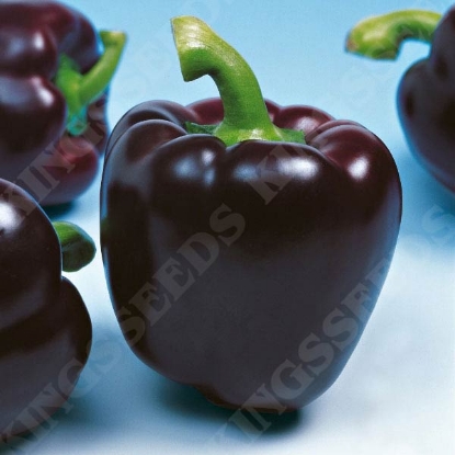 Picture of Sweet Pepper Mavras F1