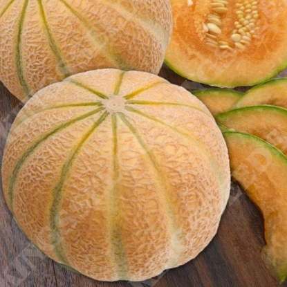 Picture of Melon Malaga F1