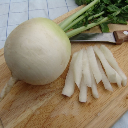 Picture of Radish Mooli Accord (round Diakon)