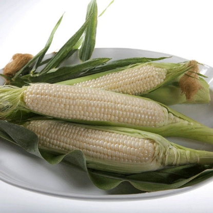 Picture of Sweet Corn Amaize F1 SH2