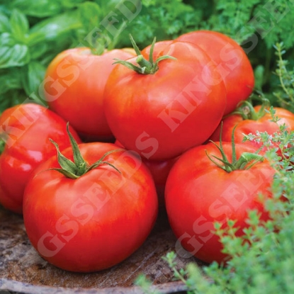 Picture of Tomato Big Daddy F1 Seeds