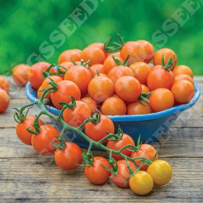 Picture of Tomato Honeycomb F1 Seeds