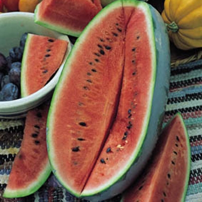 Picture of Water Melon Charleston Gray