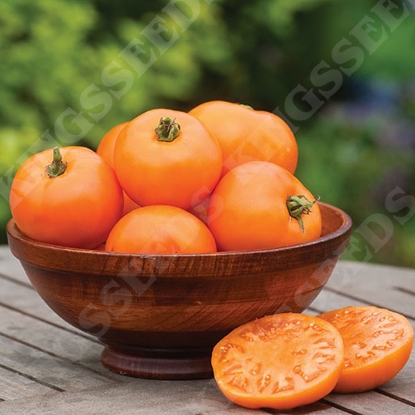 Picture of Tomato Orange Wellington F1 Seeds