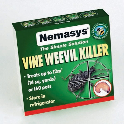 Picture of DIRECT SALE Nemasys Vine Weevil Killer treats 12M2