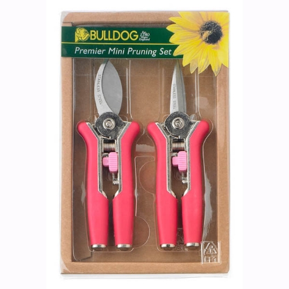 Picture of Premier Mini Pruning Set - Pink