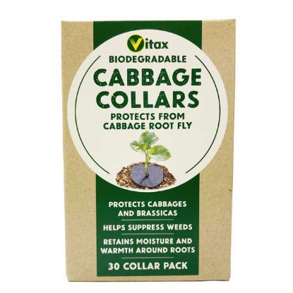 Picture of Cabbage Collars - 30 discs