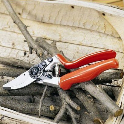 Picture of Felco No.7 Secateurs