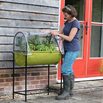 Picture of Easy Table Garden - Self Watering