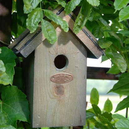 Picture of Wren Bird Box