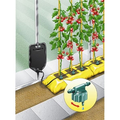 Picture of Big Drippa Watering System