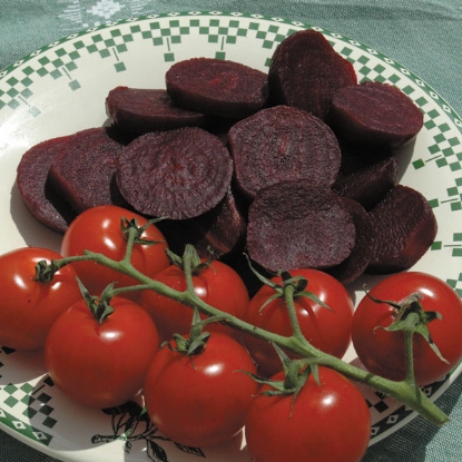 Picture of Early Starter Vegetable Collection