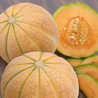 Picture of Melon Sweetheart Plants - 3 x 9cm - JUNE DELIVERY