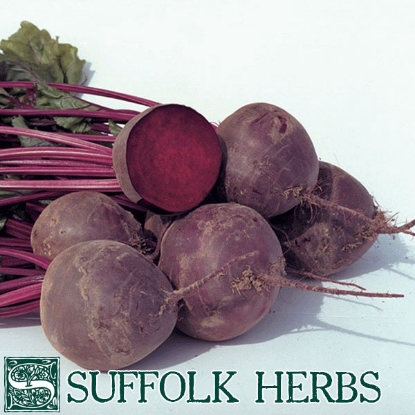 Picture of Organic Beetroot Boro F1