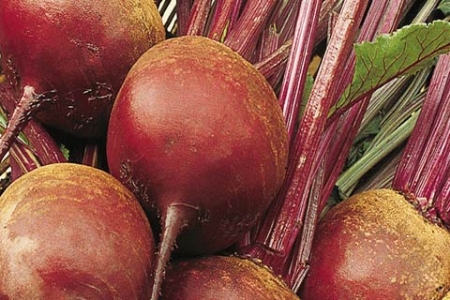 Picture for category Beet