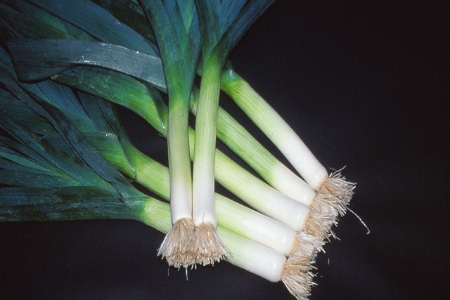 Picture for category Leek