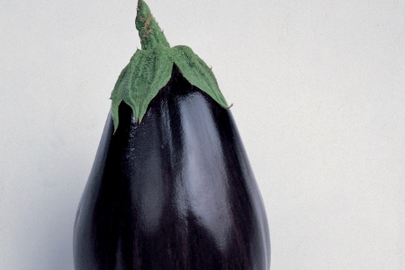 Picture for category Aubergine