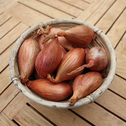 Picture of Shallot Sets Longor - 500g net