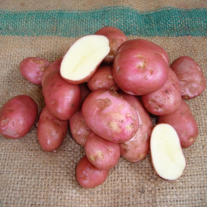 Picture of Potatoes Desiree 2.5kg - Early Main. DELIVERY END OF JAN-MARCH 2025