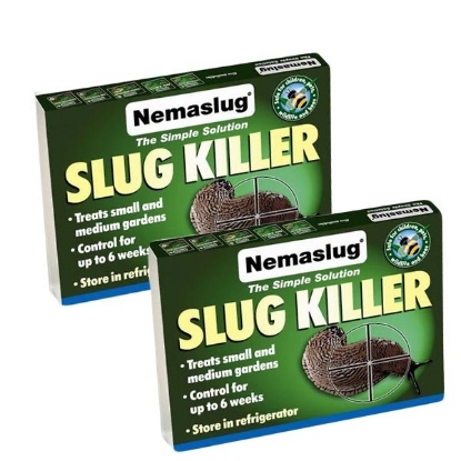 Picture of DIRECT SALE Nemaslug Slug Killer - 2 Pack 40 sqm Planned Programme