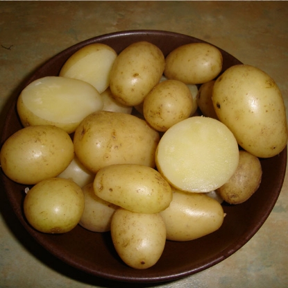 Picture of Potatoes Maris Peer 2.5kg - Second Early. DELIVERY END OF JAN-MARCH 2025