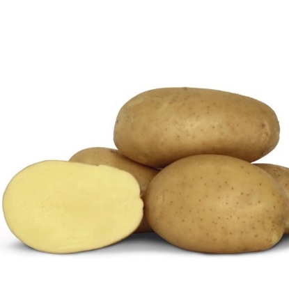 Picture of Potatoes Francis 2.5kg - First Early - DELIVERY END OF JAN-MARCH 2025