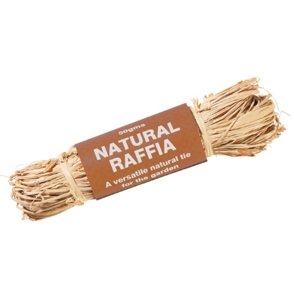 Picture of Natural Raffia String - 50g