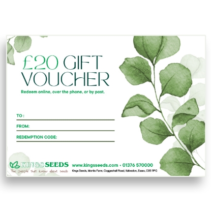 Picture of Gift Voucher - £20