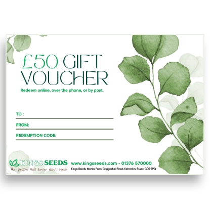 Picture of Gift Voucher - £50