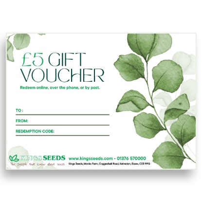 Picture of Gift Voucher - £5